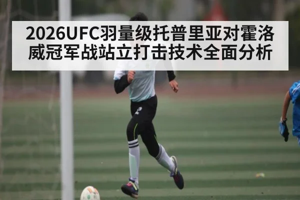 2026UFC羽量级托普里亚对霍洛威冠军战站立打击技术全面分析