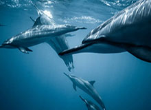 中超直播-董栋:或许是最后一届奥运会 拼到最后不留遗憾